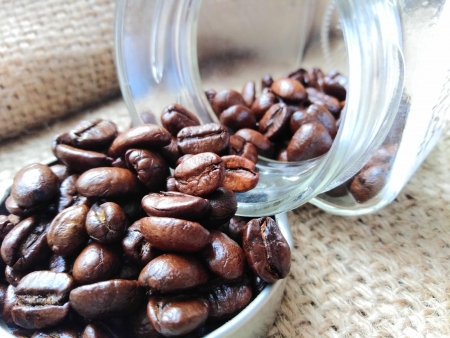 WILDE MAUS aromatisierter Kaffee mit Haselnuß-Note